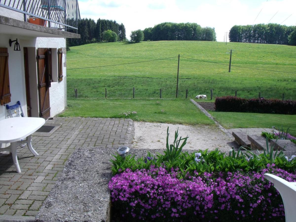 Gite Les Hirondelles Plombières-les-Bains Exterior foto