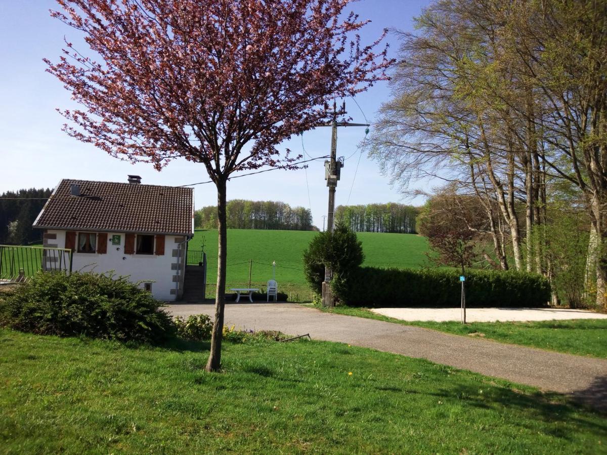 Gite Les Hirondelles Plombières-les-Bains Exterior foto